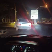 سگ خانگی  پیدا شده