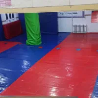 اکادمی تخصصی ژیمناستیک