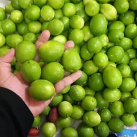 لیمو ترش