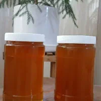 عسل کوه طبیعی تضمینی|خوردنی و آشامیدنی|تهران, الهیه|دیوار