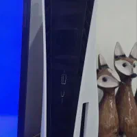 PS5 fat