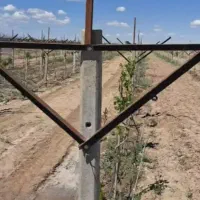 پایه انگور و پایه فنس بتنی