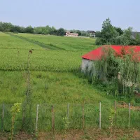 کلبه سوئیسی اجاره ایی روزانه|اجارهٔ کوتاه‌مدت ویلا و باغ|ماسال, |دیوار