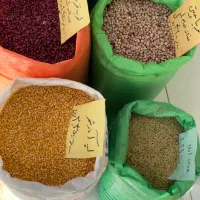 انواع حبوبات درجه یک قیمت مناسب کالابرگ