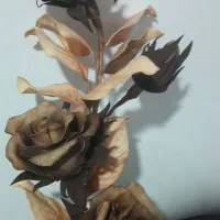 به طور عمده گلهای فومی