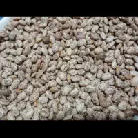 لوبیا چتی|خوردنی و آشامیدنی|معمولان, |دیوار