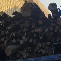 هرس باغ با پیشرفته ترین اره ها بنزینی برقی‌(بیصدا|خدمات باغبانی و درختکاری|شیراز, شهرک کوشکک|دیوار