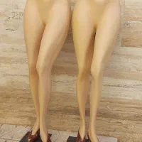 پرو خانه و مانکن|فروشگاه و مغازه|زنجان, |دیوار