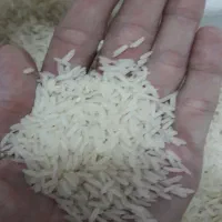 برنج فجر درجه یک الگ کارخانه