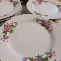 بشقاب گل سرخی ۲۴ عدد