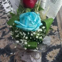 اشیا گم شده