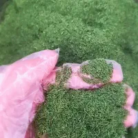 محصولات خانگی