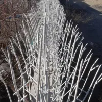 تولید کننده حفاظ شاخ گوزنی .سرنیزه .