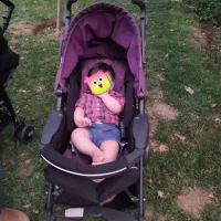 کالسکه و صندلی ماشین