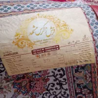 فرش نو|فرش|کرمانشاه, |دیوار