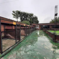 پانسیون سگ آموزش سگ تربیت سگ|خدمات پیشه و مهارت|کرج, فاز ۳ مهرشهر|دیوار