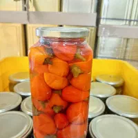 واگذاری نمایندگی