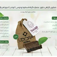 پن گیاهی حاوی اسطوخودوس لدورا