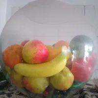 تنگ ماهی