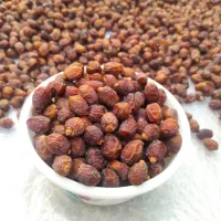 فروش خرمای آجیلی شکلاتی خاصویی (ریزه خاصویی) جم|خوردنی و آشامیدنی|جم, |دیوار