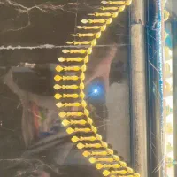 خار گردنبند خورشیدی شمس با زنجیر  النگو