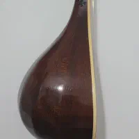 سه‌تار حرفه‌ای مهر برقی جانی|سازهای سنتی|سردشت, |دیوار