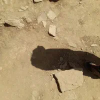 کلیه لوازم طبیعت منزل ورزشی سفر و کوه بعلت مهاجرت|کوهنوردی و کمپینگ|تهران, مرزداران|دیوار