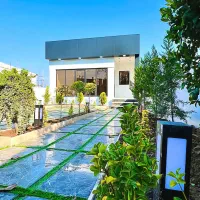 برگ عاص مدرن های دریاچه ماهان٪سند تک برگ