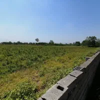 فروش زمین در لنگرود|فروش زمین و ملک کلنگی|رشت, چله خانه|دیوار