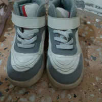 شیش جفت کفش|کیف، کفش، کمربند|قروه, |دیوار