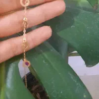 النگو و زنجیر و انگشتر طلا|جواهرات|برازجان, |دیوار