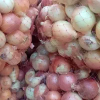 فروش ۲۰۰ ۳۰۰کیلو پیاز درجه یک|عمده‌فروشی|اسدآباد, |دیوار