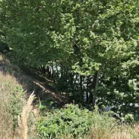 جاده طالقان،زیاران، تهاتر با آپارتمان تهران|فروش زمین و ملک کلنگی|طالقان, |دیوار