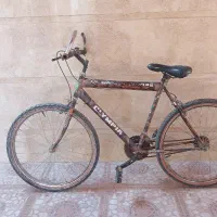 1عدد دوچرخه|دوچرخه، اسکیت، اسکوتر|برازجان, |دیوار