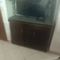آکواریم شیشه خم ماهیران