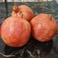 انار|خوردنی و آشامیدنی|قم, باجک سه|دیوار