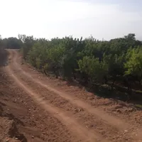 باغ کشاورزی تفریحی ۴۰۰متر پل زمانخان|فروش دفتر صنعتی، کشاورزی، تجاری|اصفهان, بوستان زاینده رود|دیوار