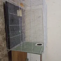 قفس گرینچیک