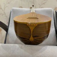 سه تار|سازهای سنتی|تهران, قلهک|دیوار