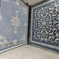 فرش آوا|فرش|اندیمشک, |دیوار