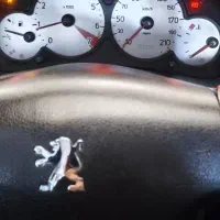 ۲۰۶ SD مدل ۹۹|خودرو سواری و وانت|پاکدشت, پاکدشت (مامازند)|دیوار