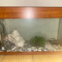اکواریوم سالم بالوازم کامل سنگ ۳۵در ۱متر ارتفاع ۸۵|ماهی|مشهد, چهارچشمه|دیوار