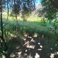 زمین مسکونی