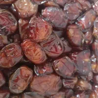 خرمای خشک و شیره دار بوشهر|خوردنی و آشامیدنی|اهواز, فرودگاه|دیوار
