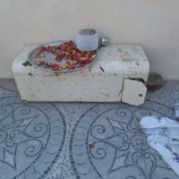 کپسول سی انجی وانت پیکان