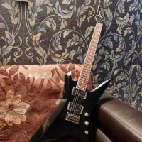 گیتار الکتریک Ibanez xp300fx