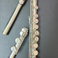 فلوت شصتی دار|سازهای بادی|مشهد, هنرستان|دیوار