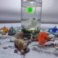 انواع گیفت عروس و نوزادی با شمع|صنایع دستی و سایر لوازم تزئینی|شیراز, پارک کوهستانی بوستان|دیوار