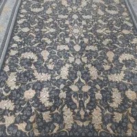 چکاوک دودی|فرش|کرج, سی متری صنعتکاران|دیوار