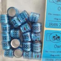 پلاک کبوتر/پرچم دار/مسافتی/آلمانی/پلاکی